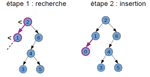 insertion n°1